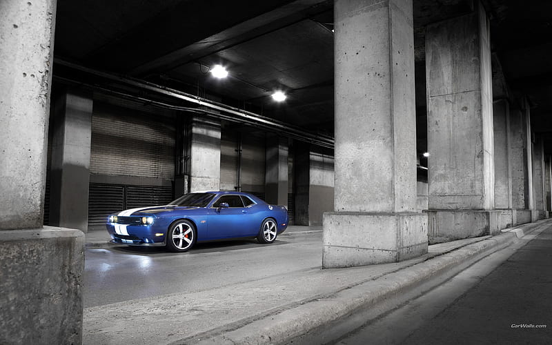 Test driver-Dodge Challenger SRT8 392 2012 models, HD wallpaper