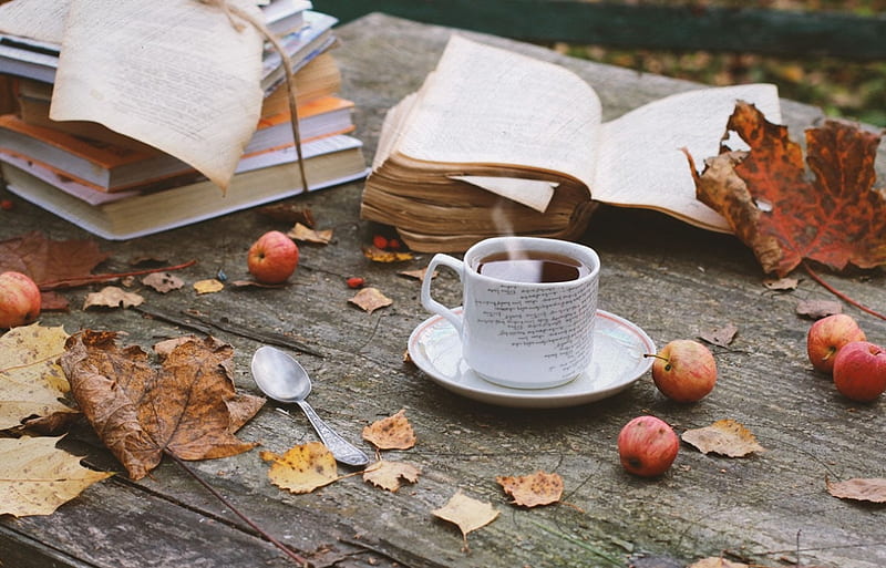 Book, cup, autumn, abstract, HD wallpaper | Peakpx