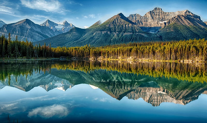 Herbert Lake Reflection, mountain, forest, Canada, bonito, Banff National Park, trees, lake, HD wallpaper