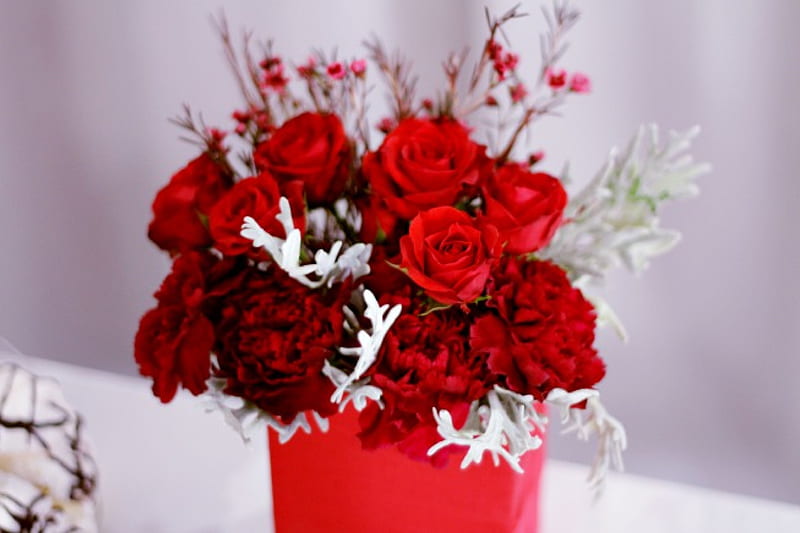 ๑~๑ Study In Red ๑~๑, red, study, desenho, vase, roses, carnations, floral, bouquet, entertainment, love, siempre, passion, fashion, HD wallpaper