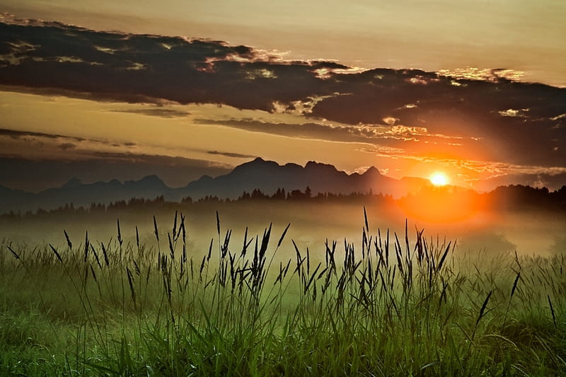 Misty Morning Sunrise, farm, sun, fields, sunrise, morning, misty, clouds, HD wallpaper
