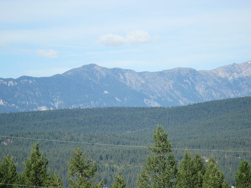 Mountains view 43, graphy, green, mountains, nature, trees, sky, blue ...