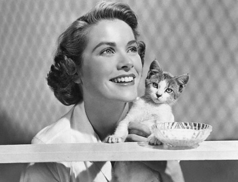 Grace Kelly with her cat (for carmen), grace kelly, hollywood, black and white, cat, woman, pet, graphy, actress, people, star, HD wallpaper