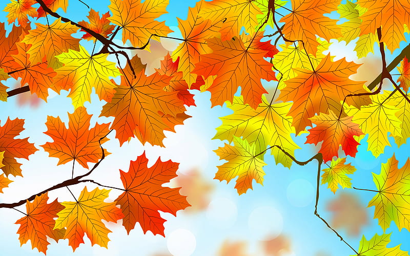 autumn leaves desktop background