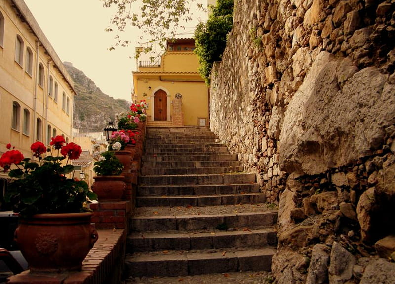 Stair Walk, planters, stone wall, flowers, stairs, yellow house, trees, red door, steps, HD wallpaper