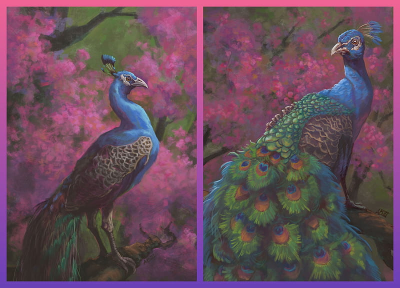 Peacocks, art, luminos, peacock, collage, spring, blossom, fantasy, arthur bowling, bird, green, feather, paun, pasari, flower, pink, blue, HD wallpaper