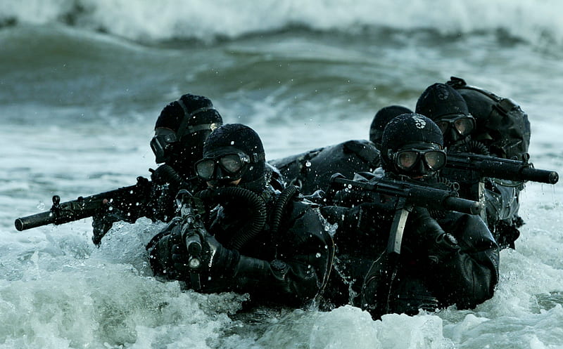 US navy seal, seal, 20, 2011, 10, us, navy, HD wallpaper