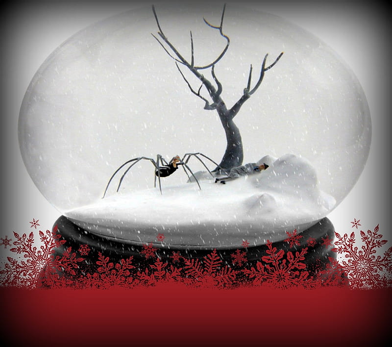 Snow Globes, Black, Man, Widow, Spider, Snow, HD wallpaper