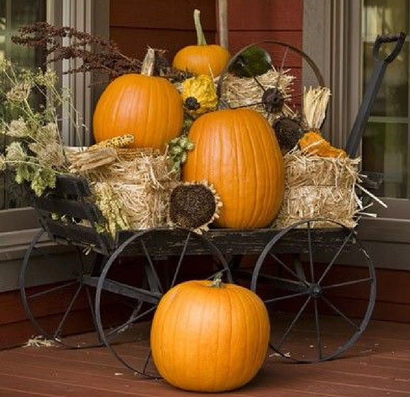 Fall decor with pumpkins, fall, nature, decor, pumpkins, HD wallpaper