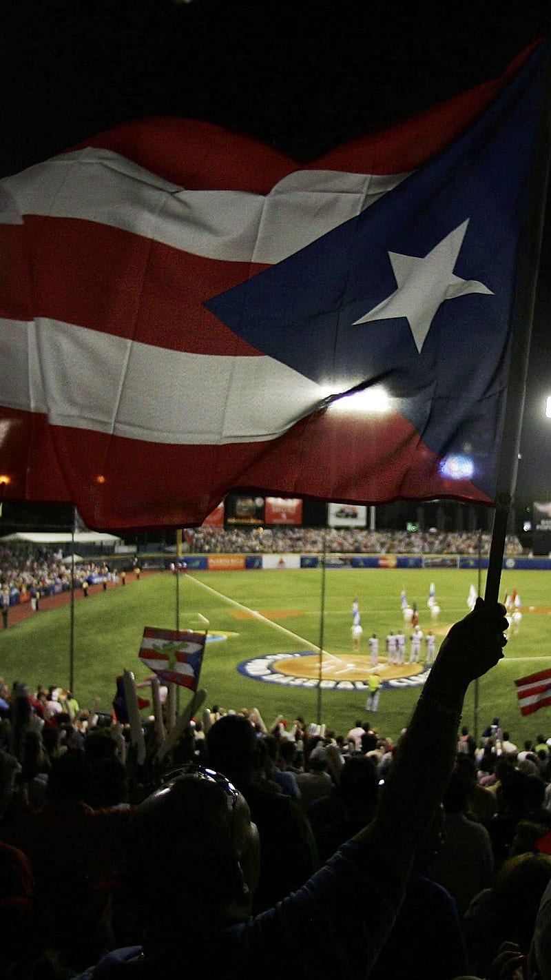 PR Baseball, home of salsa, pride of puerto rico, HD phone wallpaper