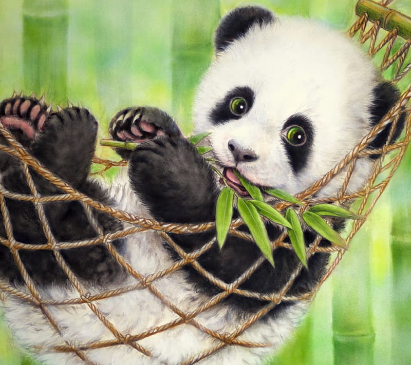 Panda, cute, hammock, leaf, HD wallpaper