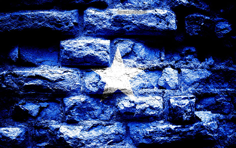 Somalia flag, grunge brick texture, Flag of Somalia, flag on brick wall, Somalia, flags of Africa countries, HD wallpaper