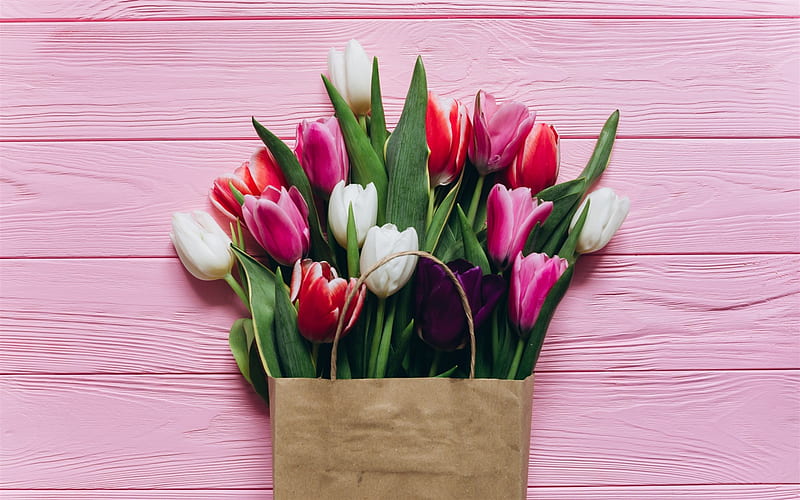 bouquet of tulips, a paper bag, pink tulips, spring flowers, white tulips, HD wallpaper