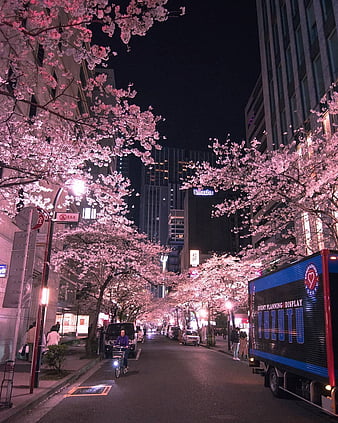 Japanese Street Scenery Wallpaper Download | MobCup