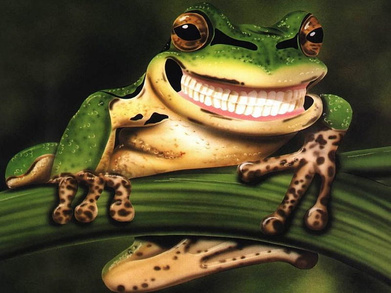 Cheesy Smiling Froggy, frog, big smile, green branch, HD wallpaper