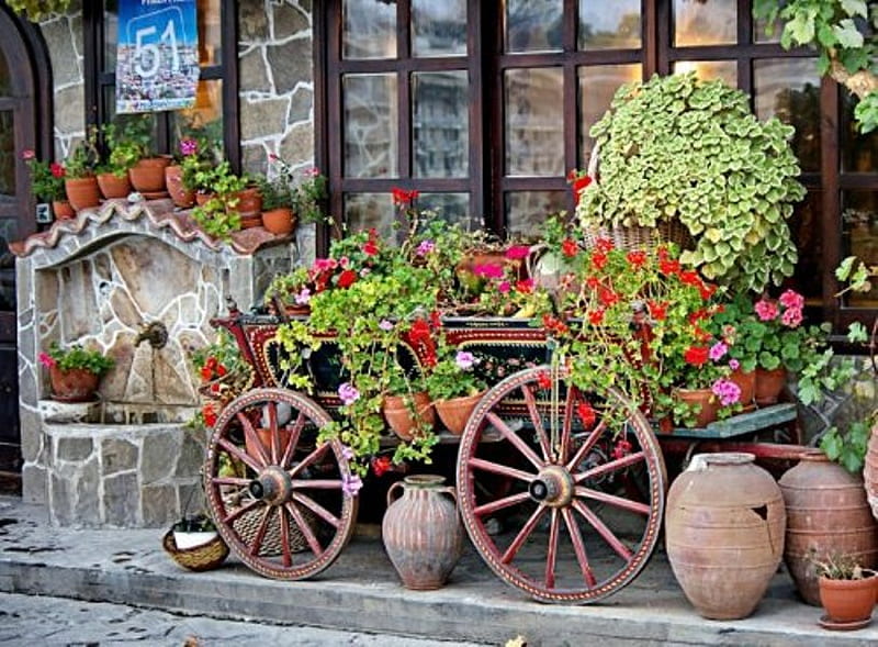 Cart architecture, pretty, bonito, old, pott, graphy, stone, potts, flower, flowers, beauty, nature, street, bulgaria, HD wallpaper