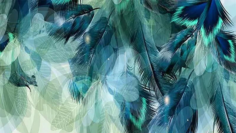 Teal Blue Feathers Blur Background Teal, HD wallpaper