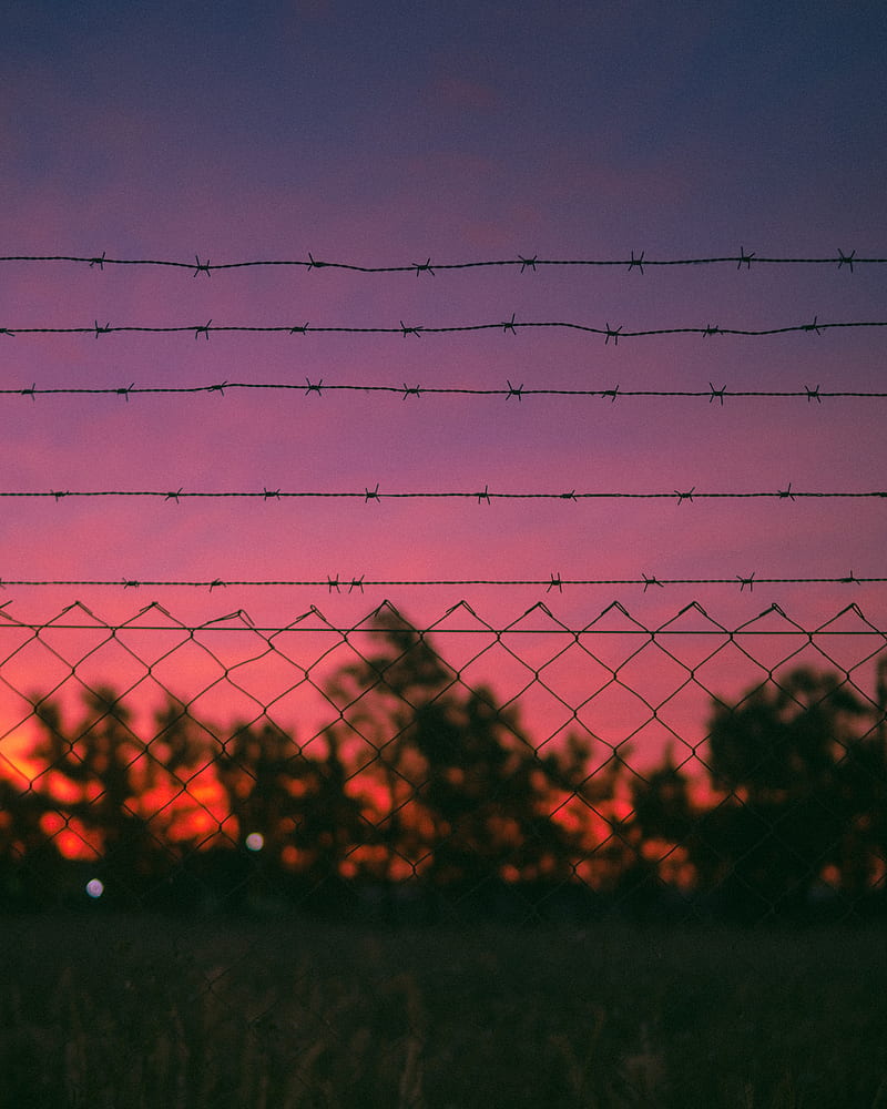 barbed wire, wire, sunset, metallic, HD phone wallpaper