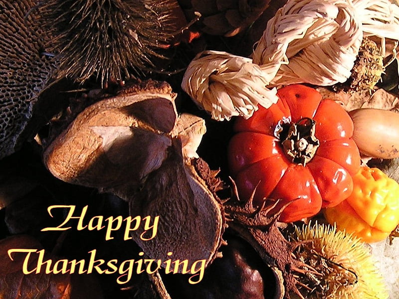 happy thanksgiving, fall, holiday, food, turkey, season, abstract, HD wallpaper