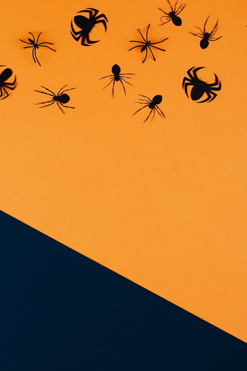 Black Paper Spiders on Orange and Black Background, HD phone wallpaper
