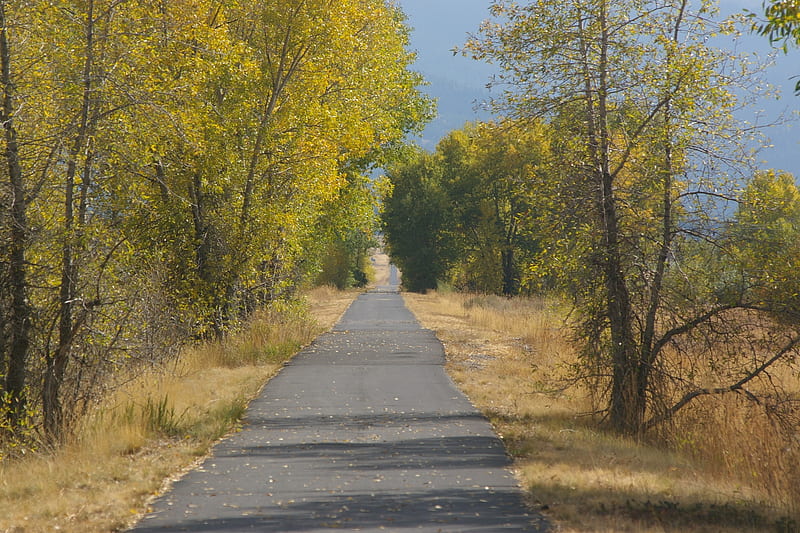 Old Railroad Tracks Bike Path: Fall Colors; Victor, Idaho, Fall, Mountains, Scenic, Bike Paths, Autumn, HD wallpaper