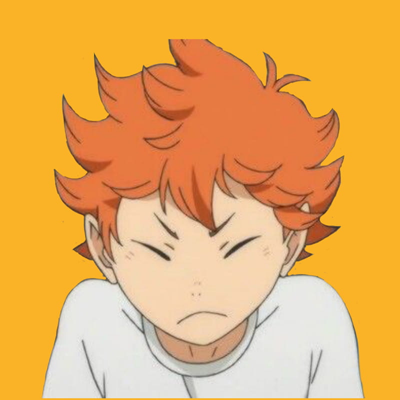 shoyo #hinata #haikyu #haikyuu #anime #animeboy #karasuno