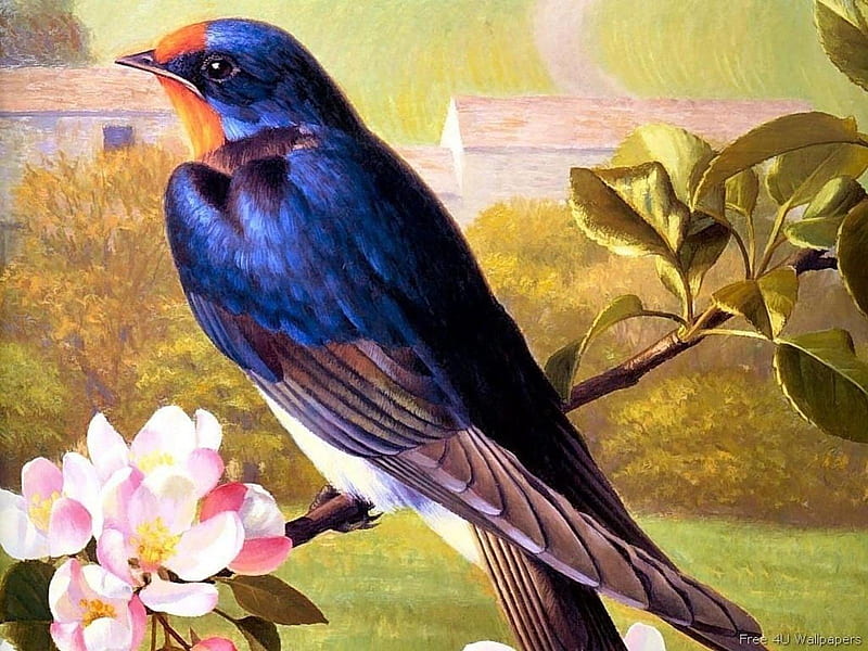 Painted Swallow, art, bird, painting, flower, animals, Swallow, HD wallpaper