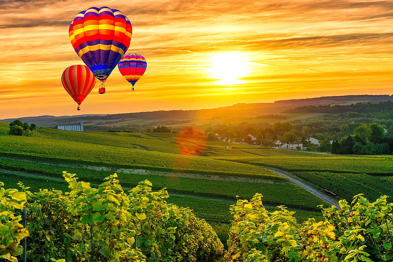 Hot air balloons, sun, fiery, view, golden, sunset, bonito, sky, balloons,  air, HD wallpaper | Peakpx