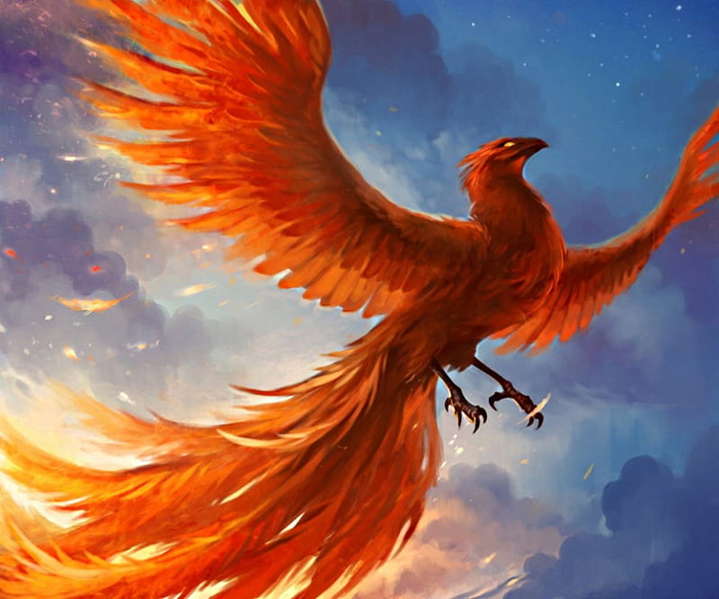 Download wallpaper 2560x1440 phoenix bird art colorful bright  widescreen 169 hd background