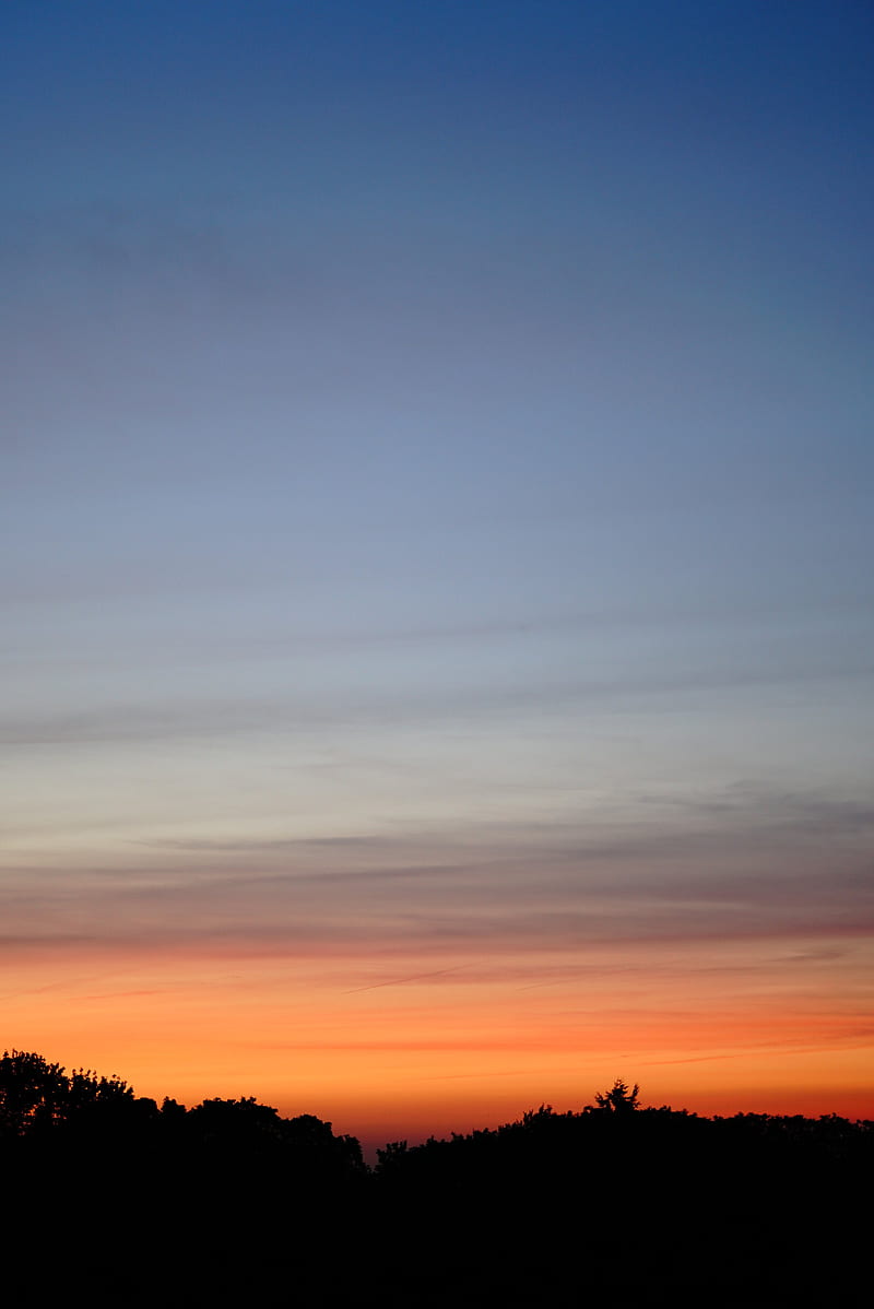sunset, dusk, trees, silhouette, night, HD phone wallpaper