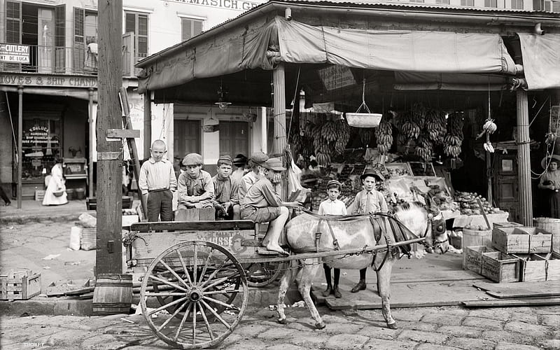 vintage french market in black and white, city, black and white, cart, domkey, street, kids, market, HD wallpaper