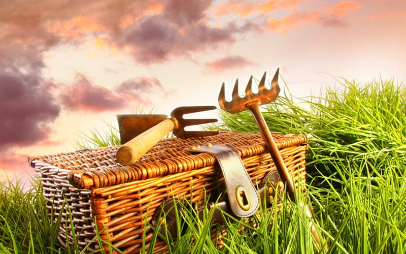 Gardening tools, garden, tools, grass, basket, HD wallpaper