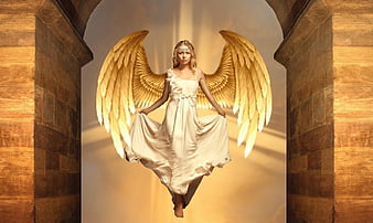 HD angel wings wallpapers