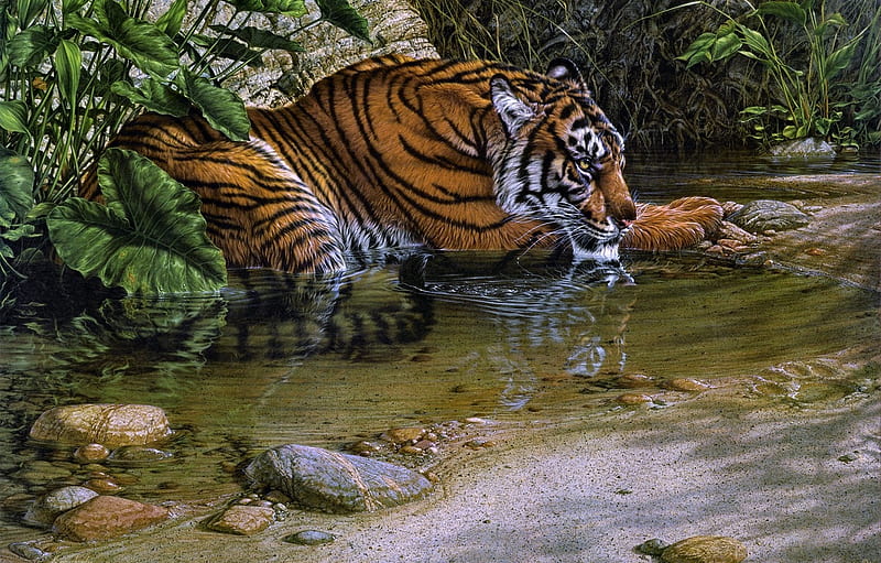 Tiger, art, water, painting, tigru, river, pictura, lee kromschroeder, HD wallpaper