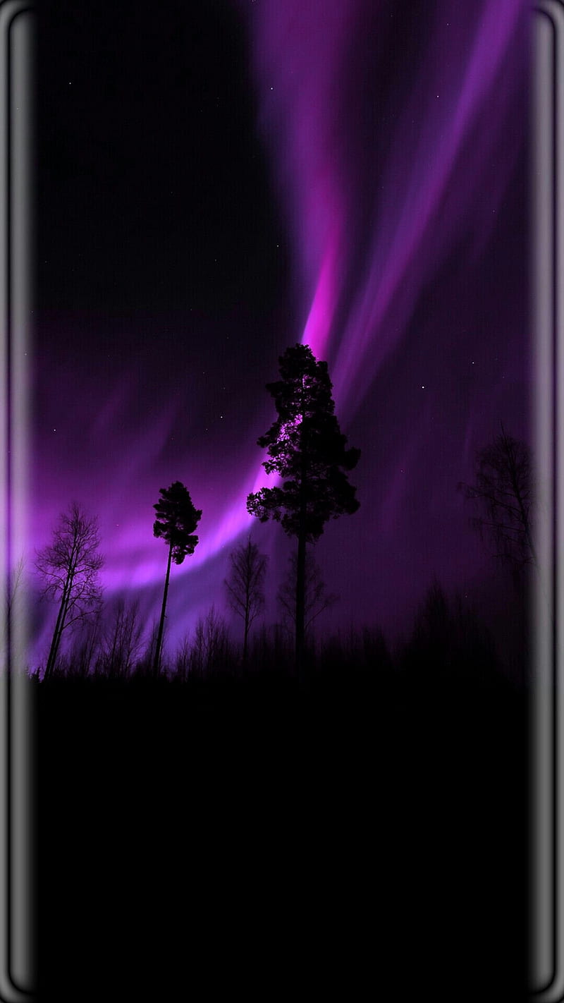 aurora, edges, field, nature, purple, tree, HD phone wallpaper