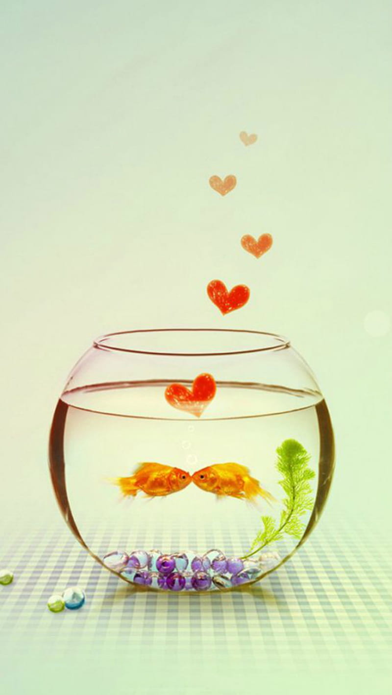 Gold fish, gold fish love, corazones, HD phone wallpaper