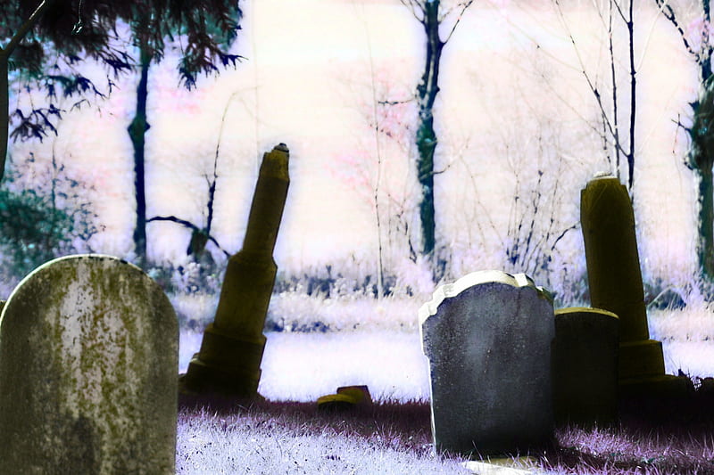Creepy Old Cemetery, creepy, holidays, cemetery, halloween, HD wallpaper