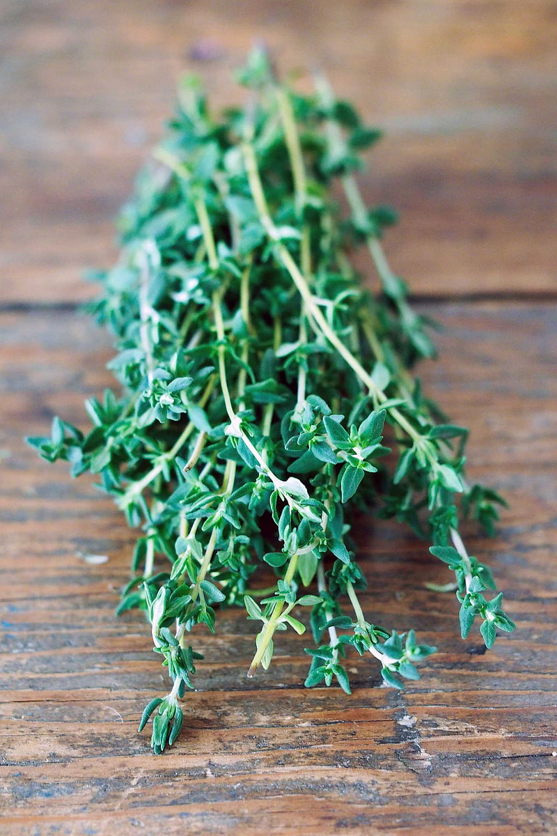 Thyme, aromatic, perennial, evergreen, herb, culinary, medicinal, ornamental, cooking, HD phone wallpaper
