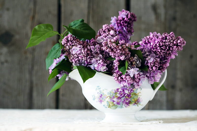 * Lilac *, flower, lilac, flowers, nature, HD wallpaper | Peakpx