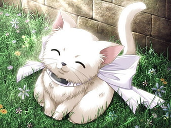 Happy (manga character) - Wikipedia