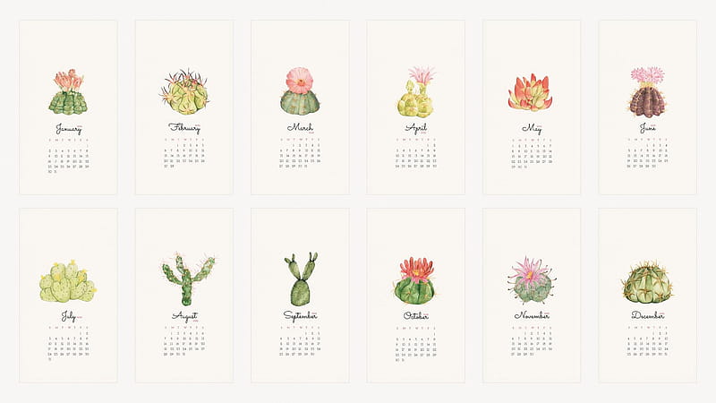 Vector. Botanical 2022 monthly calendar template, cactus iphone vector set, December 2022 Calendar, HD wallpaper