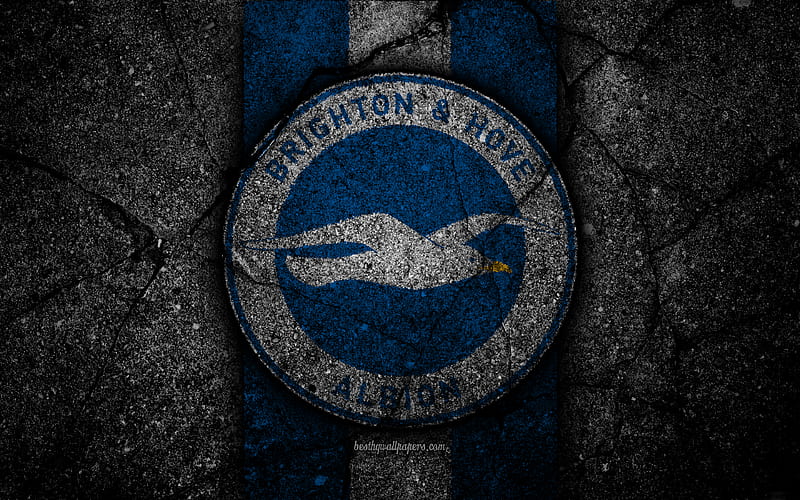 Brighton FC logo, Premier League, grunge, England, asphalt texture, Brighton, black stone, soccer, football, FC Brighton, HD wallpaper