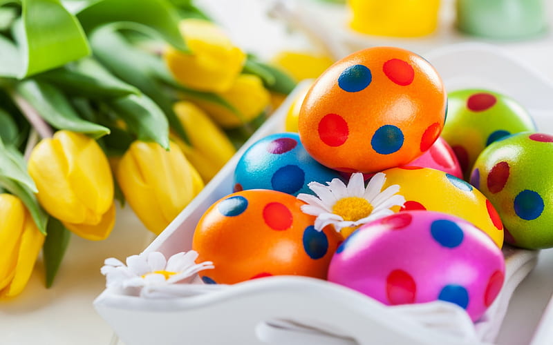 Happy Easter!, colorful, orange, yellow, easter, card, egg, dot, green, flower, pink, tulip, blue, HD wallpaper