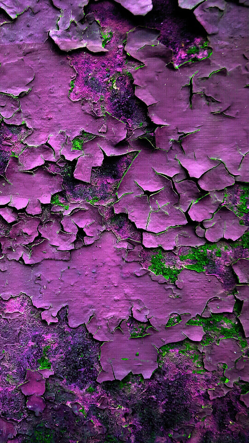 Texture, cracked, green, plant, purple, wall, HD phone wallpaper