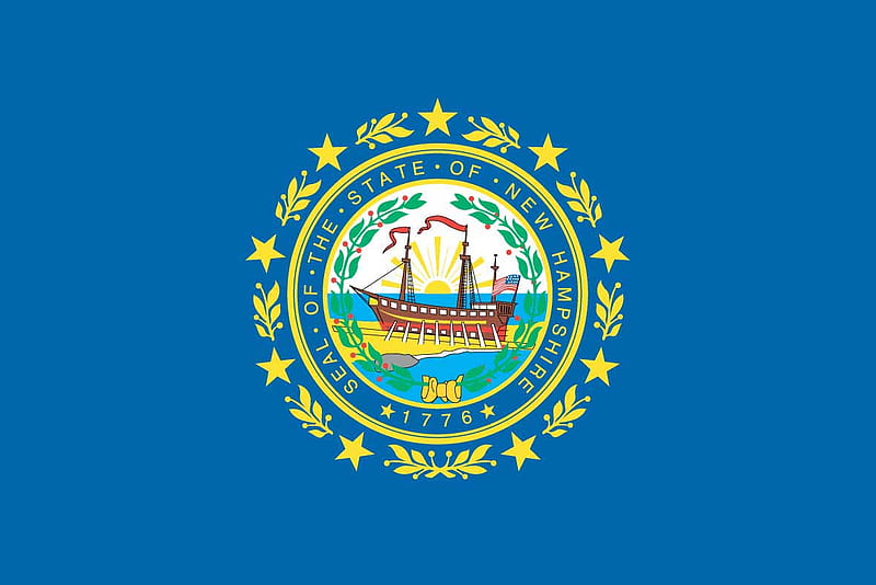 NEW HAMPSHIRE STATE FLAG, symbol, state, american, flag, blue, HD wallpaper