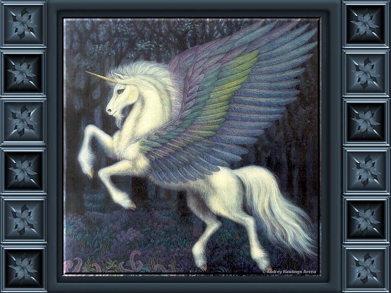 Unicorn Mural, fantasy, mural, unicorn, painting, shadow, rainbow, HD wallpaper