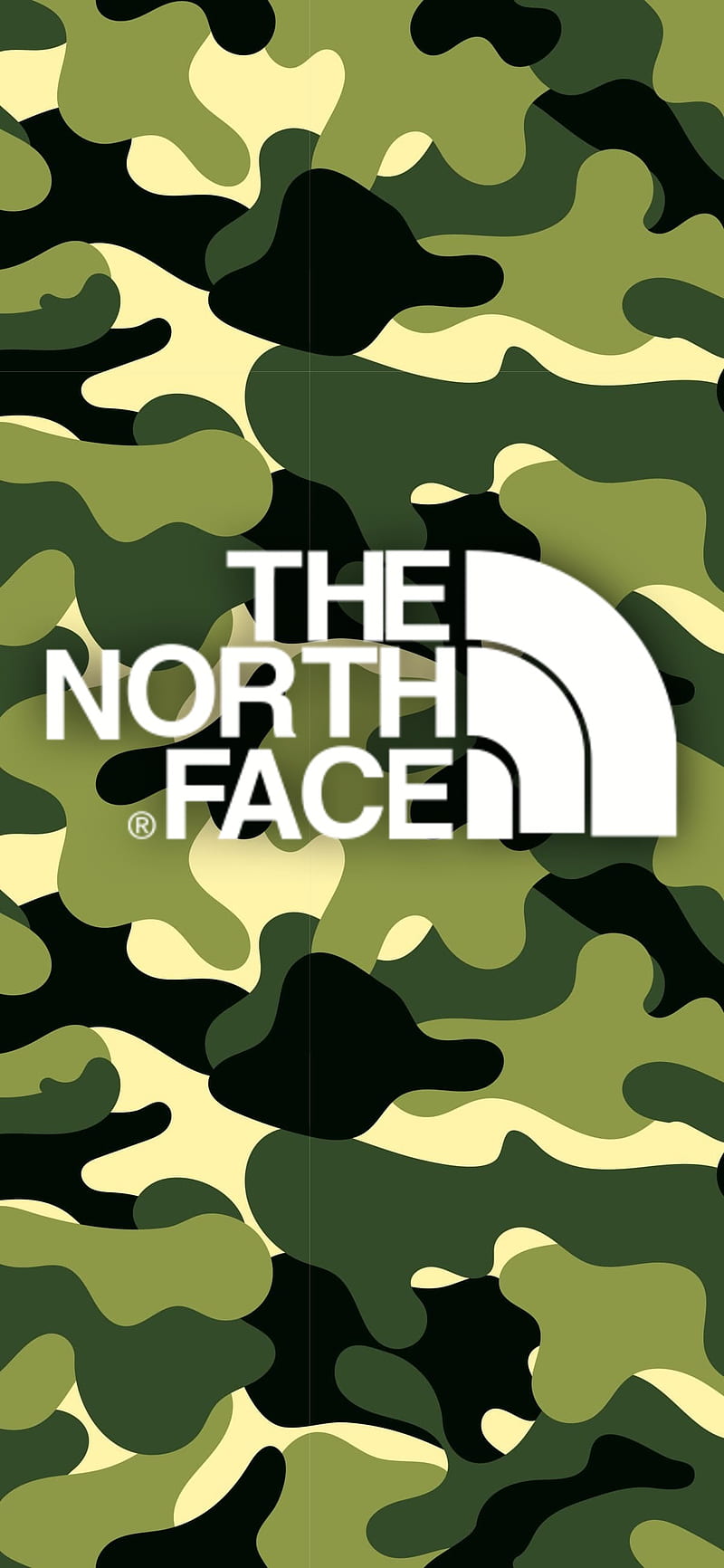 vorst winnaar Onderzoek The North Face, green, white, nike, cool, adidas, logo, drip, brand, camo,  clothes, HD phone wallpaper | Peakpx