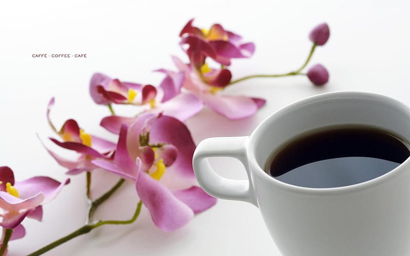 *** Cup of coffee and orchid ***, abstrakcja, fotografia, orchidea, kawa, HD wallpaper