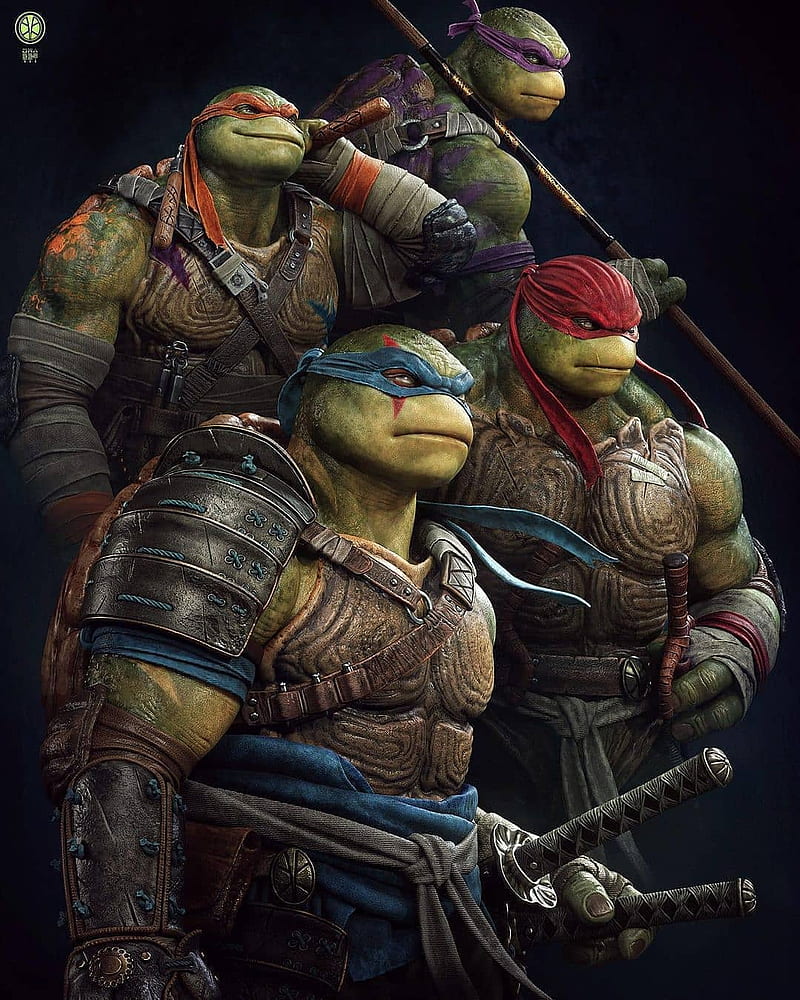 The Ninja Turtles, clans, fighters, hero, heroes, samurai, saviours,  tortoise, HD phone wallpaper