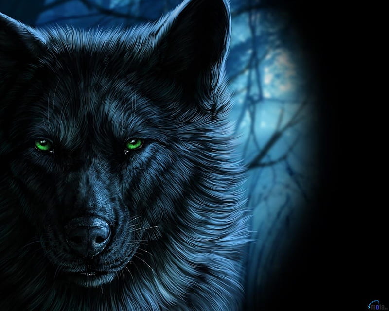 Muzzle of the Wolf in the Dark, snout, dark, wolf, eyes, muzzle, animal, HD wallpaper